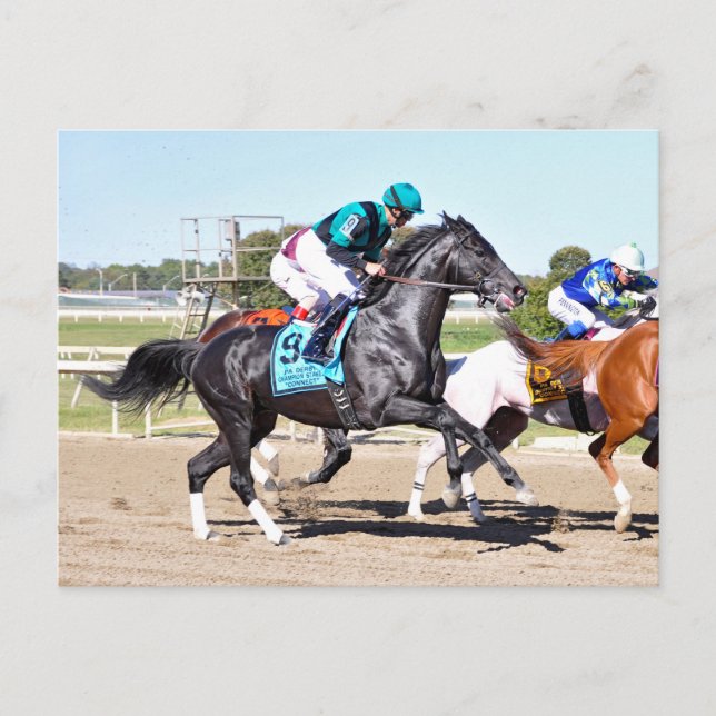 Just Call Kenny Postcard (Front)