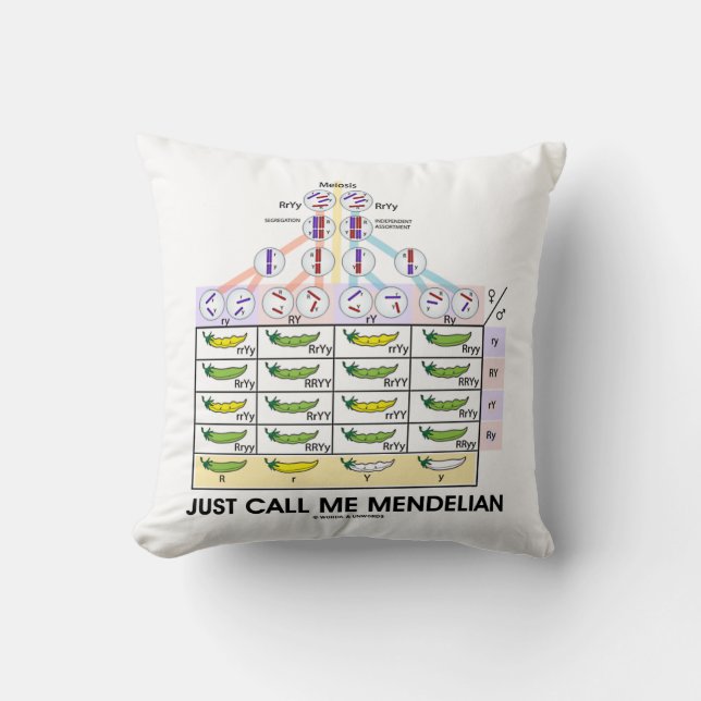 Just Call Me Mendelian (Punnett Square Genetics) Cushion (Front)