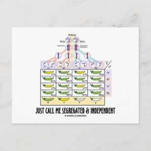 Just Call Me Segregated and Independent (Dihybrid) Postcard