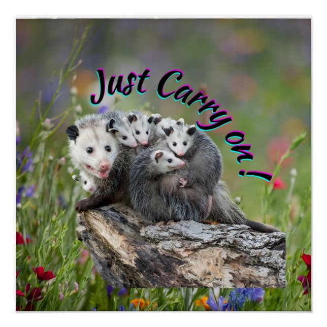 Just Carry On!   Poster (Front)