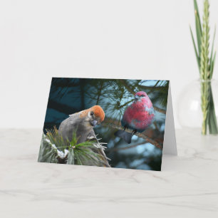 Just checking in on you! Pine Grosbeaks Card