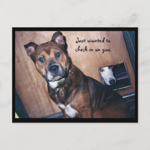 Just Checking in on You. Postcard