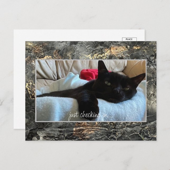 Just Checking In Postcard Black (Front/Back)