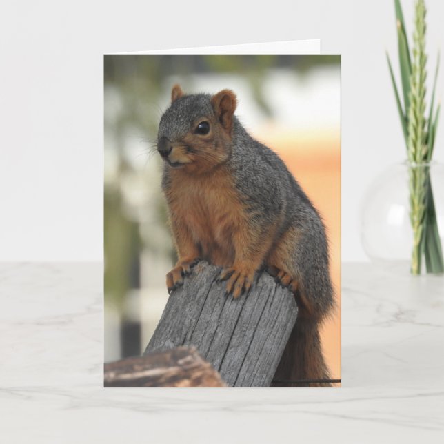 Just Checking in to Say Hi Card (Front)