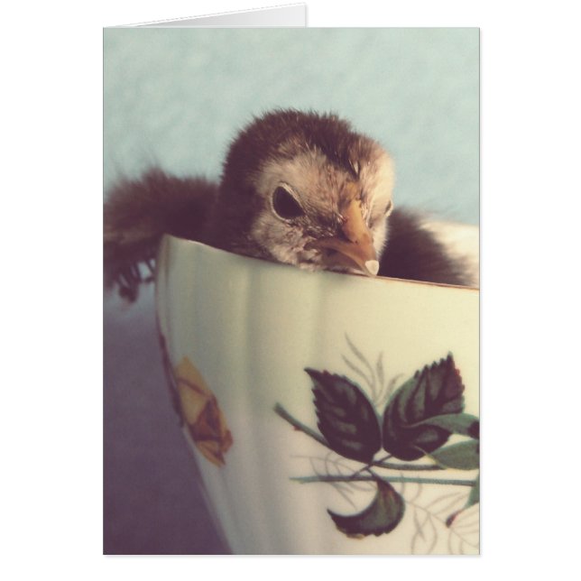 Just Chillin' (Front)