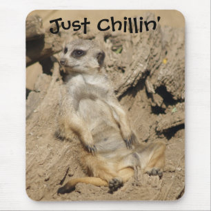 Just Chillin' Meerkat Photo Mouse Pad