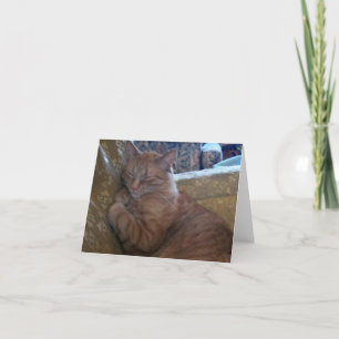 Just Chillin' Note Card