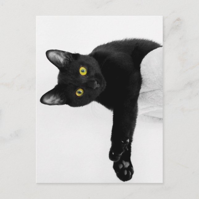 Just chillin' postcard (Front)