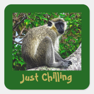 Just Chilling Green Monkey Print Square Sticker