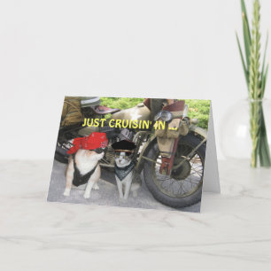 Just Cruisin' In Funny Birthday Card