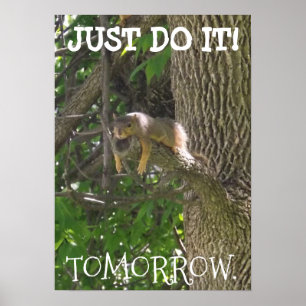 JUST DO IT, TOMORROW, funny lazy squirrel poster