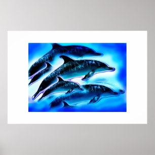 Just dolphins animal art poster