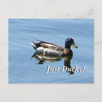Just Ducky! Postcard
