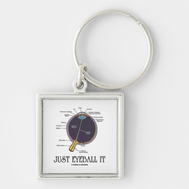 Just Eyeball It (Eye Anatomy Approximation Saying) Key Ring (Front)