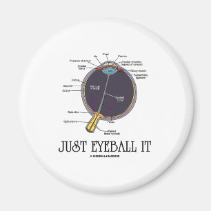 Just Eyeball It (Eye Anatomy Approximation Saying) Magnet