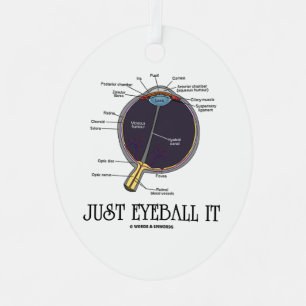 Just Eyeball It Human Eye Anatomy Geek Advice Metal Tree Decoration