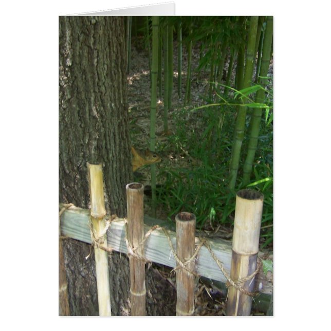 just for fun, sneaky squirrel gets caught (Front)