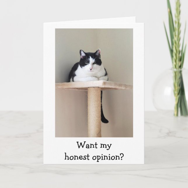 Just For Laughs Cat Cancer Support Card (Front)