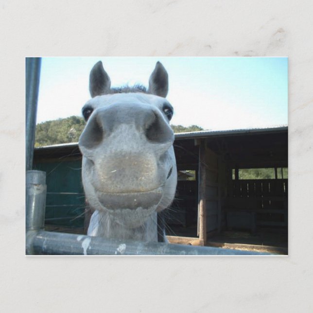 Just For Today Postcard (Front)