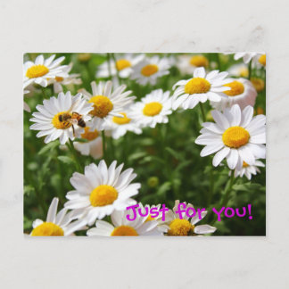 Just for you pastcard postcard