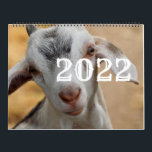 Just Goats 2022 Calendar<br><div class="desc">❤All designed with love by WitCraft Designs™! Personalise your way 👌 Find and follow us on social media (ⒻⓅⓉ) 📷 TAG #witcrafting and share your purchases on social media with us!! You can connect to all my social media accounts at www.witcrafting.com Visit my designer profile to see all my shops...</div>