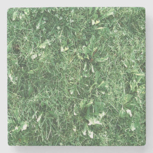 Just Grass Stone Coaster