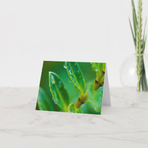 Just Green - leaves after the rain Greeting card