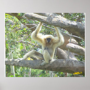 Just Hangin' Out Poster