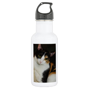 Just Hanging Around 532 Ml Water Bottle