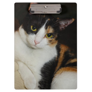 Just Hanging Around Clipboard