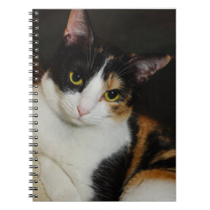 Just Hanging Around Notebook