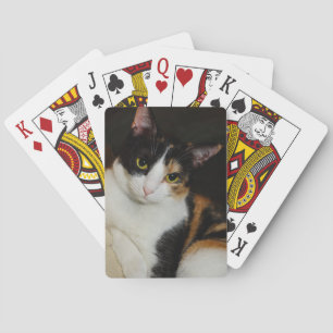 Just Hanging Around Playing Cards