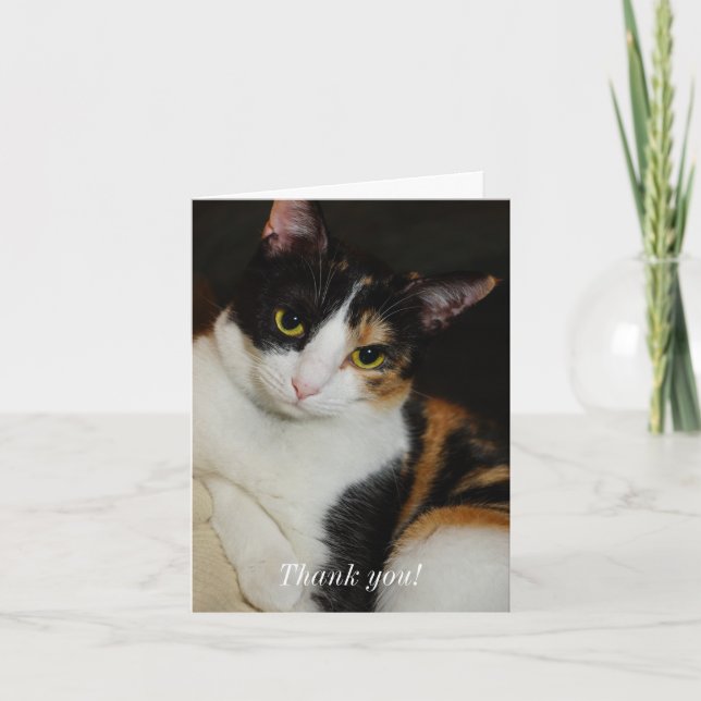 Just Hanging Around Thank You Card (Front)