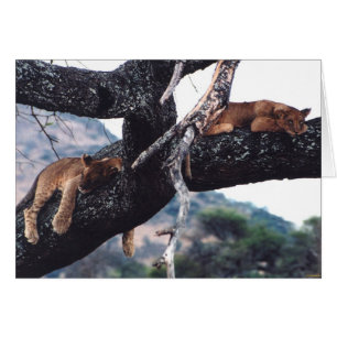 "Just Hanging out"