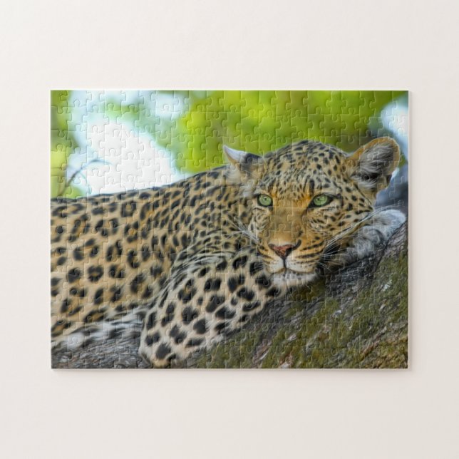 Just Hanging Out Jigsaw Puzzle (Horizontal)