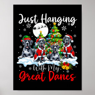 Just Hanging With My Great Danes Xmas Three Santa  Poster