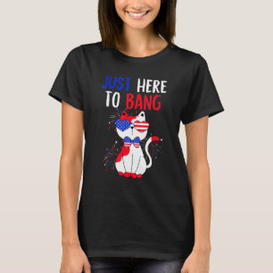 Just Here To Bang Cute Patriotic Cat 4th Of July 2 T-Shirt