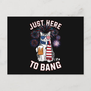 Just Here To Bang USA Flag Beer Cat Lover July 4th Postcard