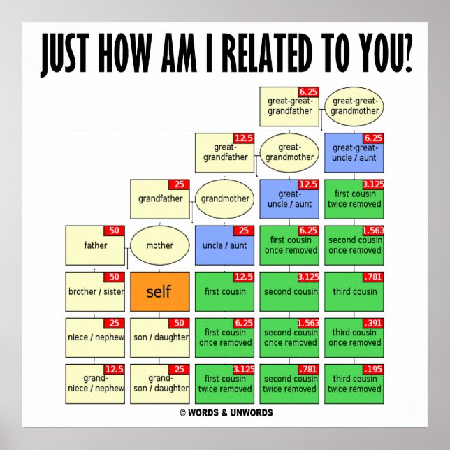 Just How Am I Related To You? (Genealogy) Poster (Front)