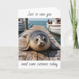 Just in Case You Need some Cuteness Today   Seal Card