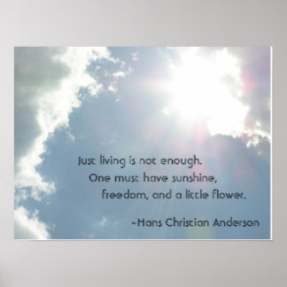 Just living is not enough. poster