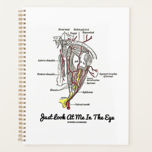 Just Look At Me In The Eye Human Eye Anatomy Planner
