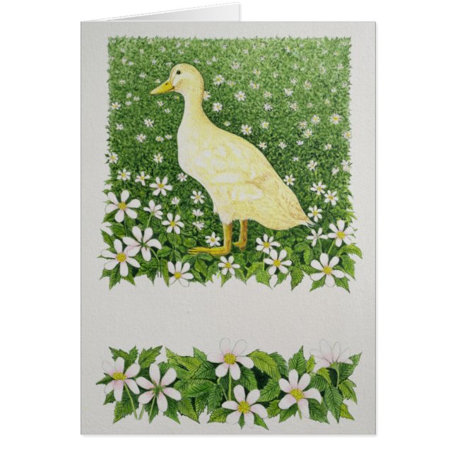 Just Looking (Front)