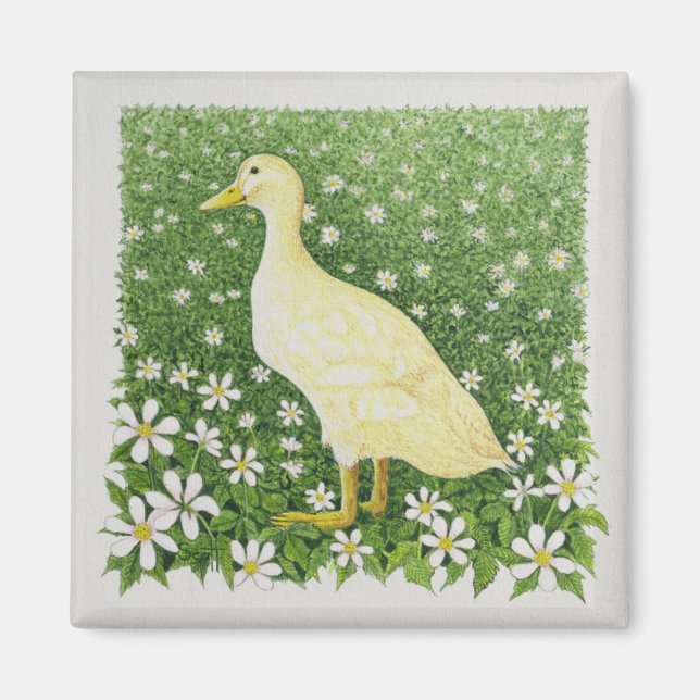 Just Looking Magnet (Front)