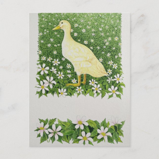 Just Looking Postcard (Front)