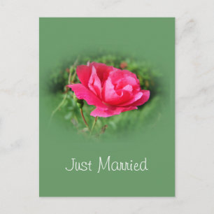 Just married address notice card
