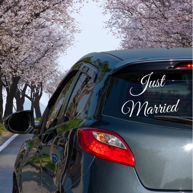 Just Married Car Sign for Wedding or Honeymoon (Just Married Car Wedding Sign)