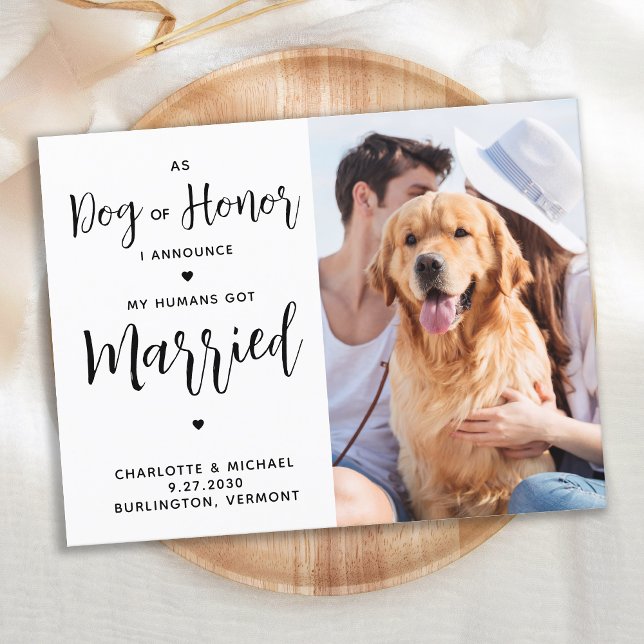 Just Married Dog of Honour Dog Wedding Announcement Postcard (Creator Uploaded)
