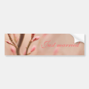 Just married spring dreams bumper sticker