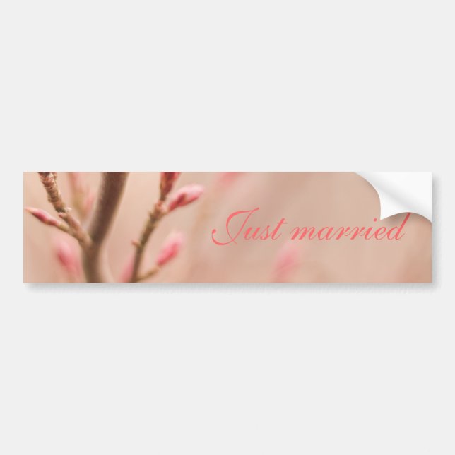 Just married spring dreams bumper sticker (Front)